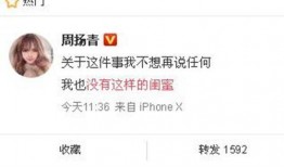 文泽园最新爆料新闻,最新爆料新闻背后的真相与内幕